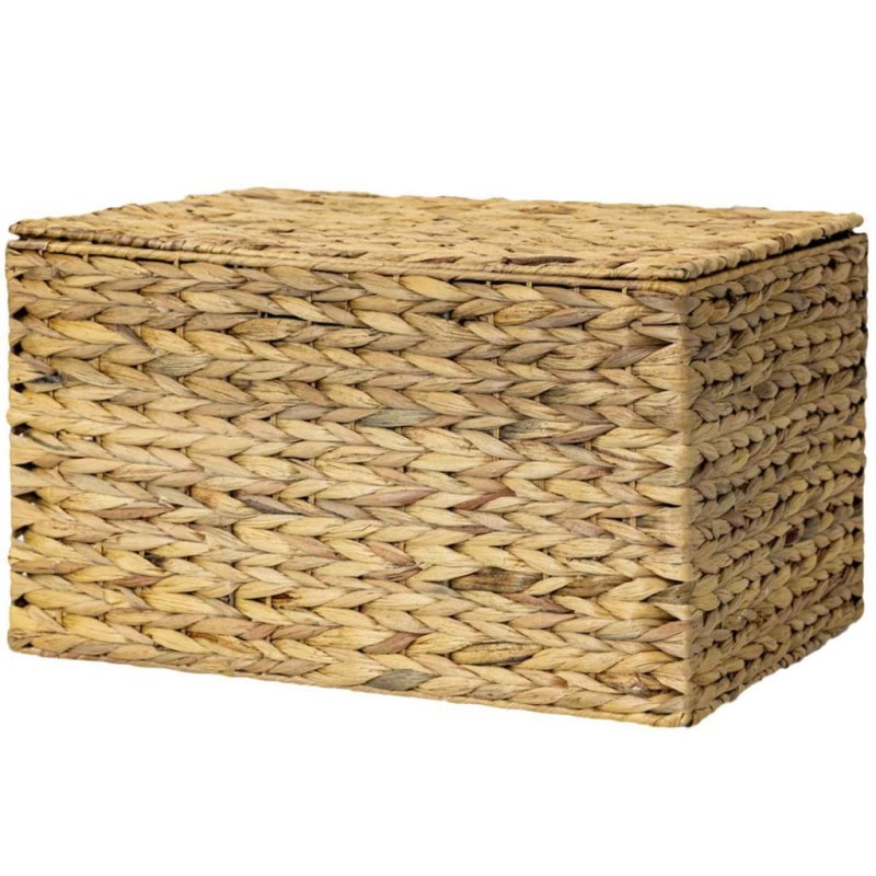HIACYNT WODNY 520A
