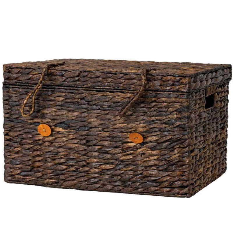 HIACYNT WODNY 585XL BRĄZ