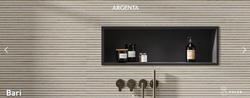 Argenta Bari Slat Grey 60x120.jpeg