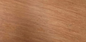 Stontech/1.0 Stonred/1.0 Naturale 40x80 cm