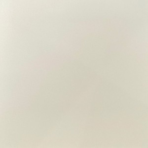 Mono Porcelain Plain Bone Matte 60x60 cm
