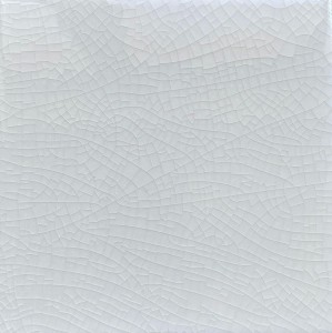 Victoria Crema Lucido 15x15 cm, Gatunek 2