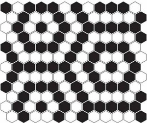 Dunin Mini Hexagon B&W Nano Premium Matt 26x30 mozaika heksagonalna