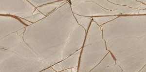 Florim Creative Design Nature Mood Rainforest Glossy 60x120 774902 imitacja marmuru