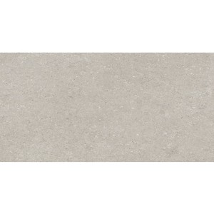 Delconca Wild HWD 05 Grey 60x120 płytki gresowe imitujące beton