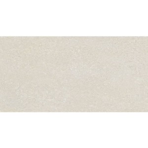 Delconca Wild HWD 10 White 60x120 płytki gresowe imitujące beton