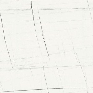 Baldocer Titanium White Pulido 80x80 płytki marmurowe gresowe