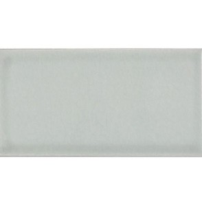 Fabresa Craquele S/C Fern Brillo 10x20 płytki cegiełki