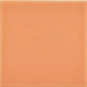 Fabresa Unicolor Naranja 20x20 płytki ścienne