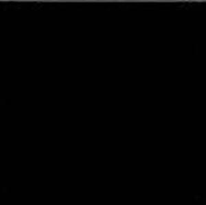 Fabresa Unicolor Negro 20x20 płytki ścienne