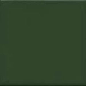 Fabresa Unicolor Verde Botella 20x20 płytki ścienne