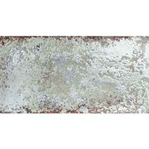 Mainzu Atelier Paradise 15x30 płytki ścienne rustykalne