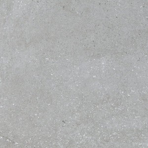 Pamesa Vita Gris 60x60 płytki gresowe imitujące beton