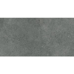 Paradyż Ceramika Authority Graphite Mat 60x120 płytki kamienne gresowe