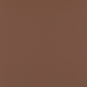 Paradyż Ceramika Modernizm Brown Mat 59,8x59,8 płytki monokolor gresowe