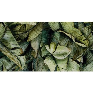 Paradyż Ceramika Natura Inserto Leaf A 30x60 płytki ścienne