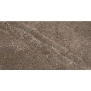 Paradyż Ceramika Palazzo Brown Połysk 30x60 płytki ścienne