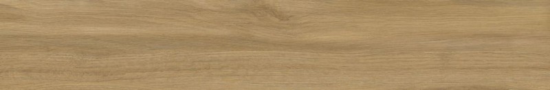 TER-33806