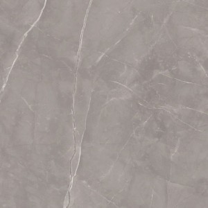 Paradyż Ceramika Ritual Grey Mat 120x120 płytki kamienne gresowe