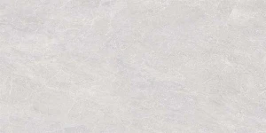 Płytka podłogowa Emigres Trento Gris 60X120 Lapp