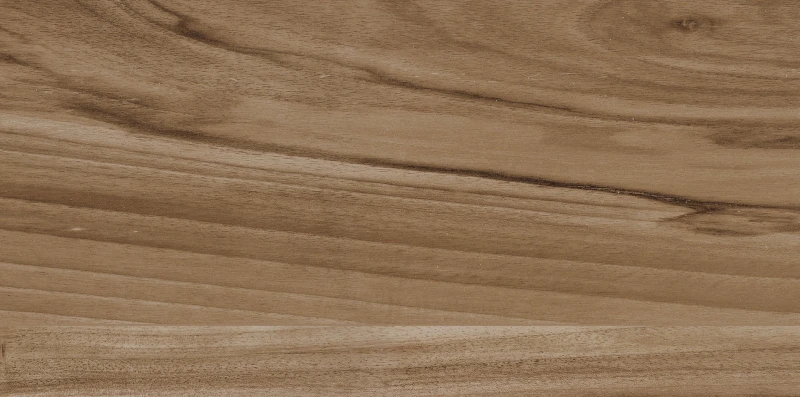 Płytka drewnopodobna Ceramika Color Emo Wood Brown 30x60