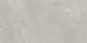 Płytka podłogowa Emigres Terra Gris 60x120 Lappato