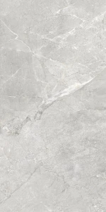 Gres Maxibox Elenza Grey 120x60 Mat+Carving