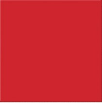 Płytki łazienkowe czerwone Mainzu Chroma Rojo Brillo 20x20