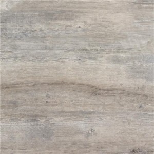 Alaplana Rushmore Grey 60x60 płytki tarasowe 20 mm