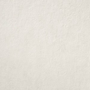 Colorker Concept Moon 59,5x59,5 płytka gresowa