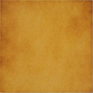 Vives Clásica Bronce 20x20 płytki podłogowe gresowe