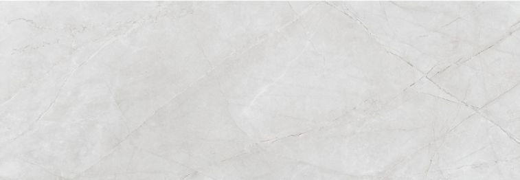 Saloni Eternal Mythos Gris Mate 40x120 JKZ735 płytka ścienna 150916