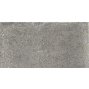Ariana Anima Fango Naturale 60x120 płytki gresowe imitujące beton