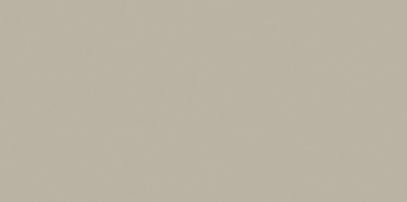 Płytki podłogowe gres szary monokolor Saloni Proyeccion Gris CNX710 60x120 83837
