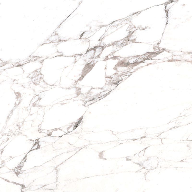 Casalgrande Padana Marmoker Calacatta Extra Honed 60x60 płytki gresowe imitujące marmur 118477