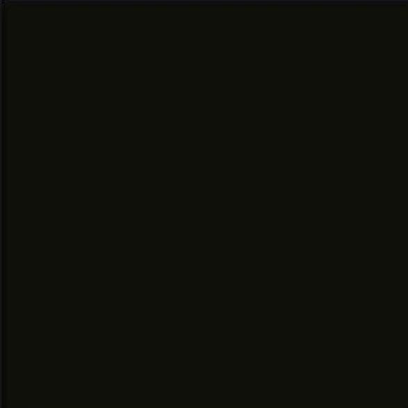 Vives Satinados Negro Mate 20x20 płytki ścienne 154939