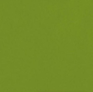 Gres pistacja zielony monokolor Casalgrande Padana Caleidoscopio Pistacchio 20x20