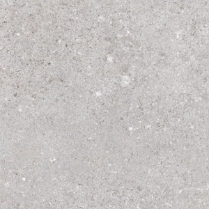 Vives Nassau Gris 20x20 płytki kamienne gresowe