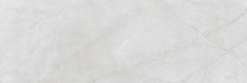 Płytki łazienkowe szare Saloni Mythos gris mate 40x120 12710