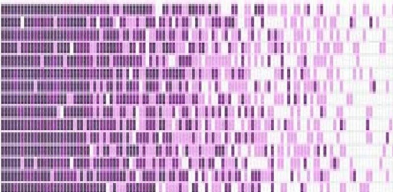 Dunin Q Grade Violet 32,7x26,3 mozaika basenowa 103979