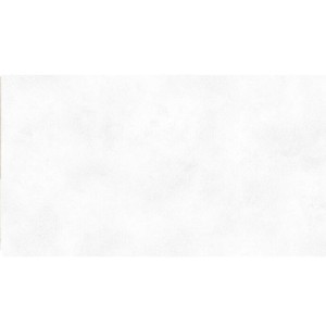 Peronda Planet White SF 60x120 CR płytki betonowe gresowe