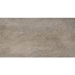 Fioranese Concrete Beige 30,2x60,4 CN362R płytki kamienne gresowe