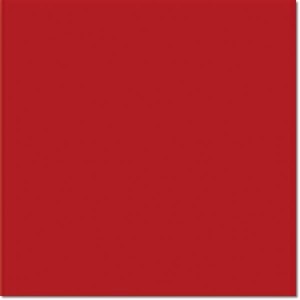 Vives Rojo Volcan 20x20 płytka podłogowa