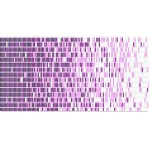 Dunin Q Grade Violet 32,7x26,3 mozaika basenowa