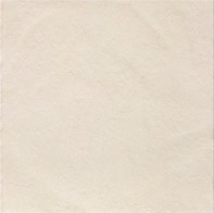 Płytki łazienkowe białe Mainzu Litos Blanco 20x20