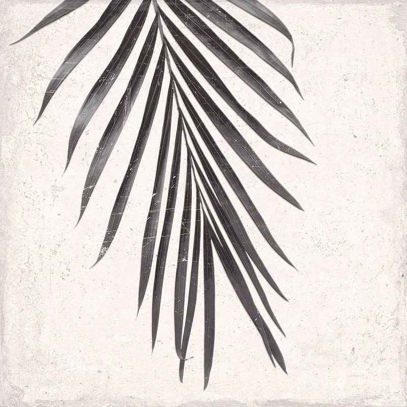 Keros Decorado Botanic 25x25 płytka gresowa 135668