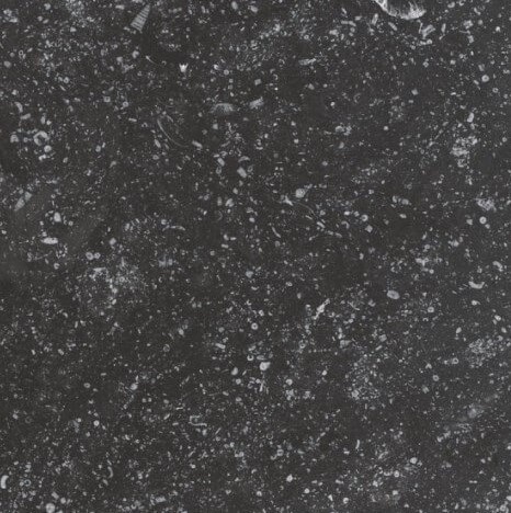 Płytki imitujące naturalny kamień grafit Equipe Coralstone Black 20x20 21766