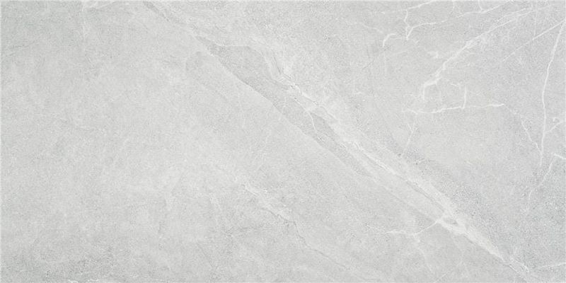 Alaplana Bodo White Mate Rect. Slipstop 60x120 płytki kamienne gresowe 108163