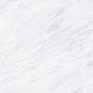 Casalgrande Padana Marmoker Carrara Honed 120x120 płytki gresowe imitujące marmur
