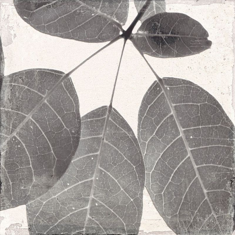 Keros Decorado Botanic 25x25 płytka gresowa 135667